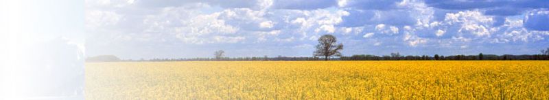 Chorverband Karl Pfaff